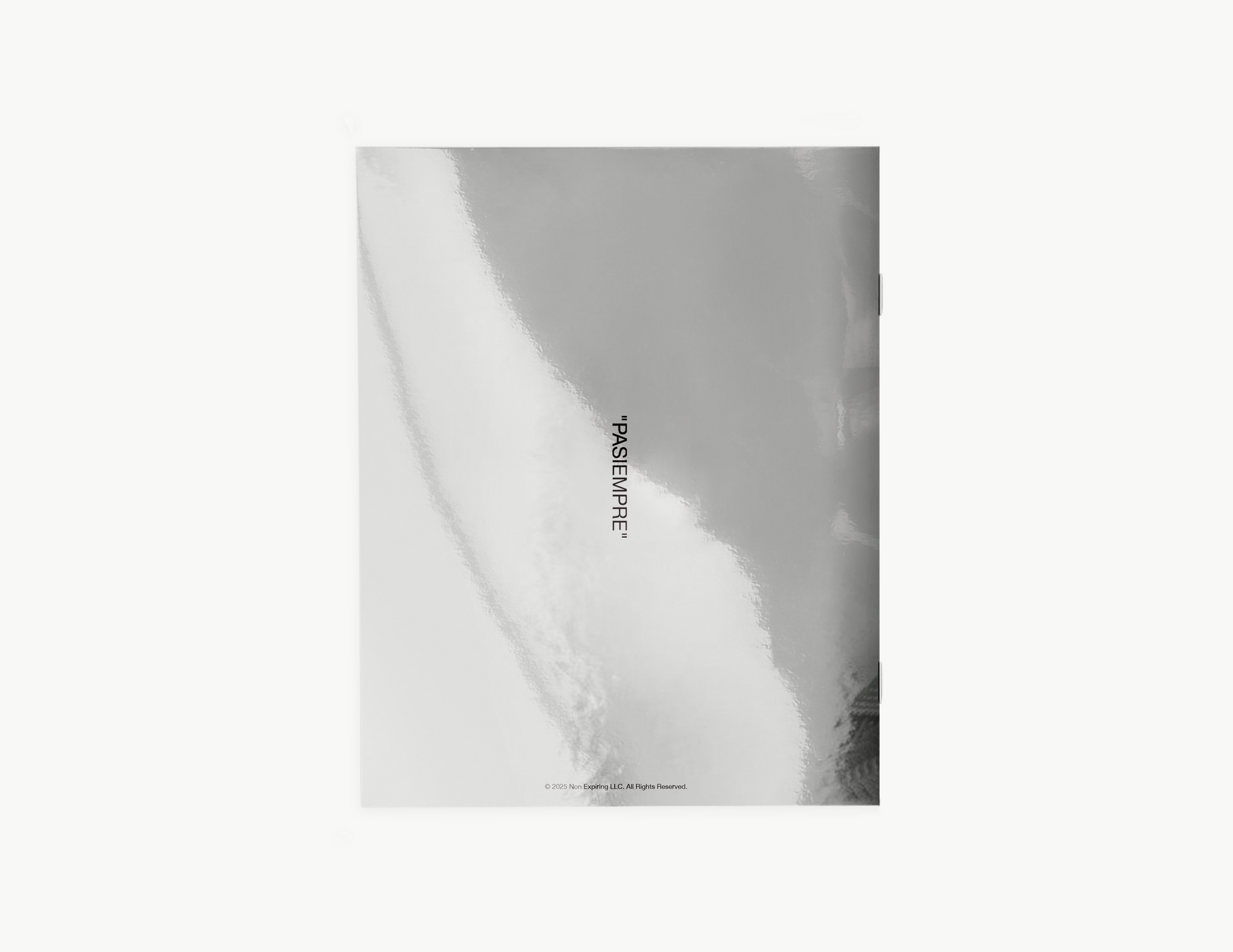DATA Zine (Presale)