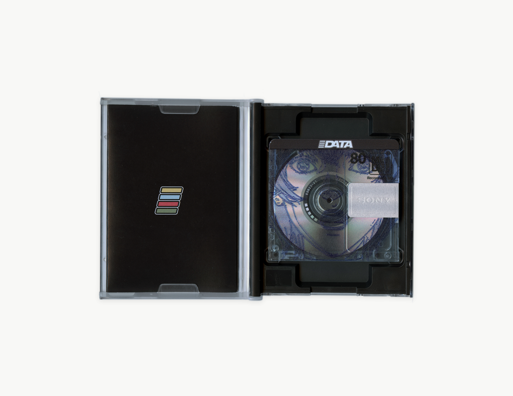 DATA MINIDISC - (BLIND BOX!)